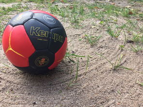 开云下载-鹿岛鹿角赛前体能检测通过，争冠筹备顺利