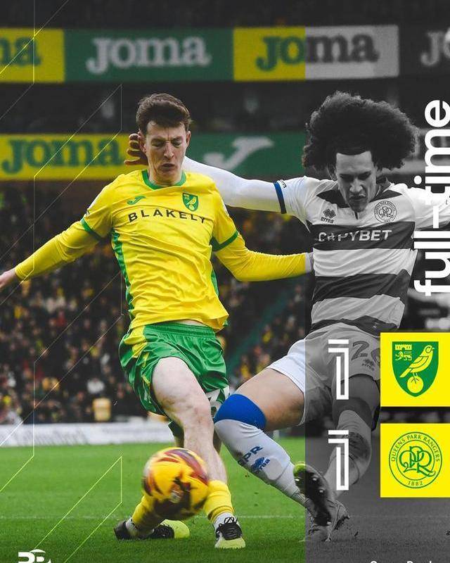 开云体育APP下载-诺维奇表现稳定，主场抢分保住保级优势的简单介绍