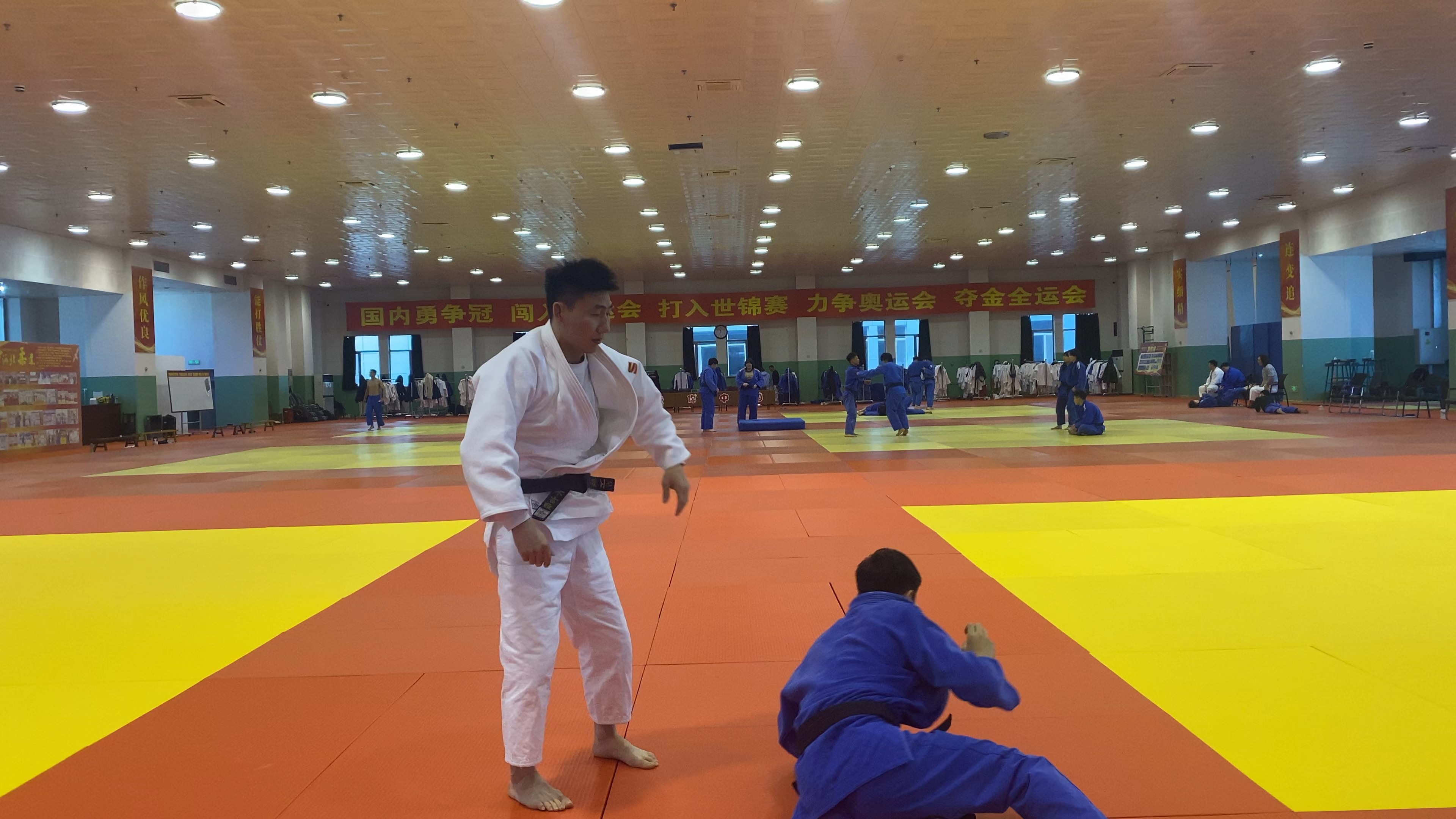 关于柔道赛场高手云集，东道主队实现不败战绩的信息