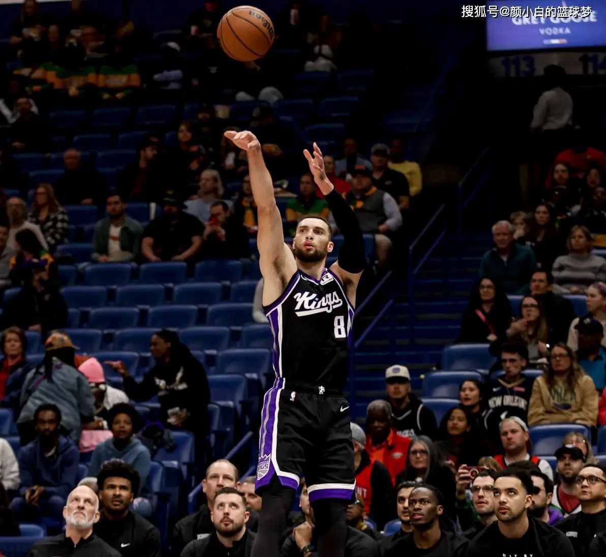 关于战斗全面蓄势待发!鹈鹕蓄势爆发抢占胜利先机的信息 关于战斗全面蓄势待发!鹈鹕蓄势爆发抢占胜利先机的信息