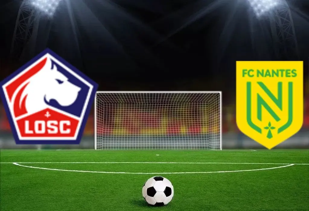 里尔主场大胜南特，提升积分排名的简单介绍