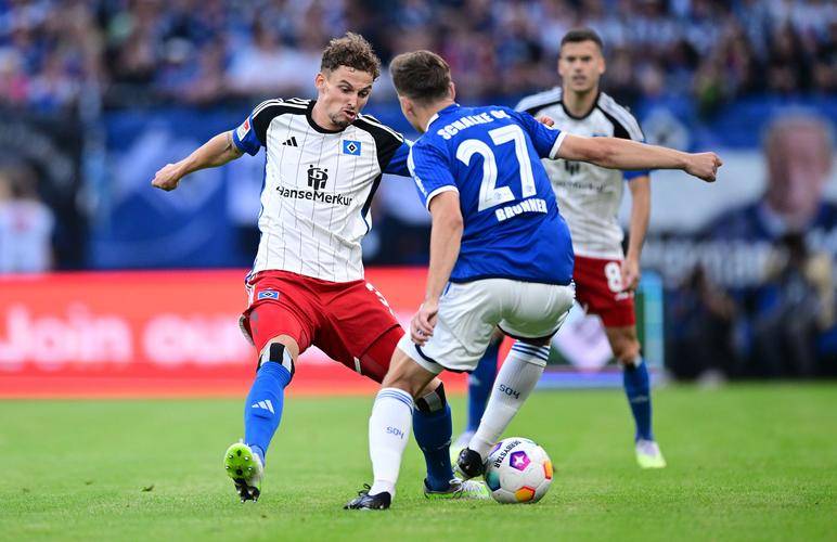 开云体育官方网站-沙尔克04主场大胜，攻守俱佳